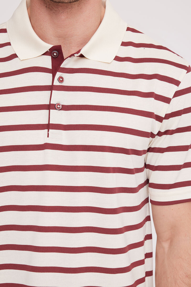 Erkek Bordo Polo Yaka Çizgili T-Shirt - 4