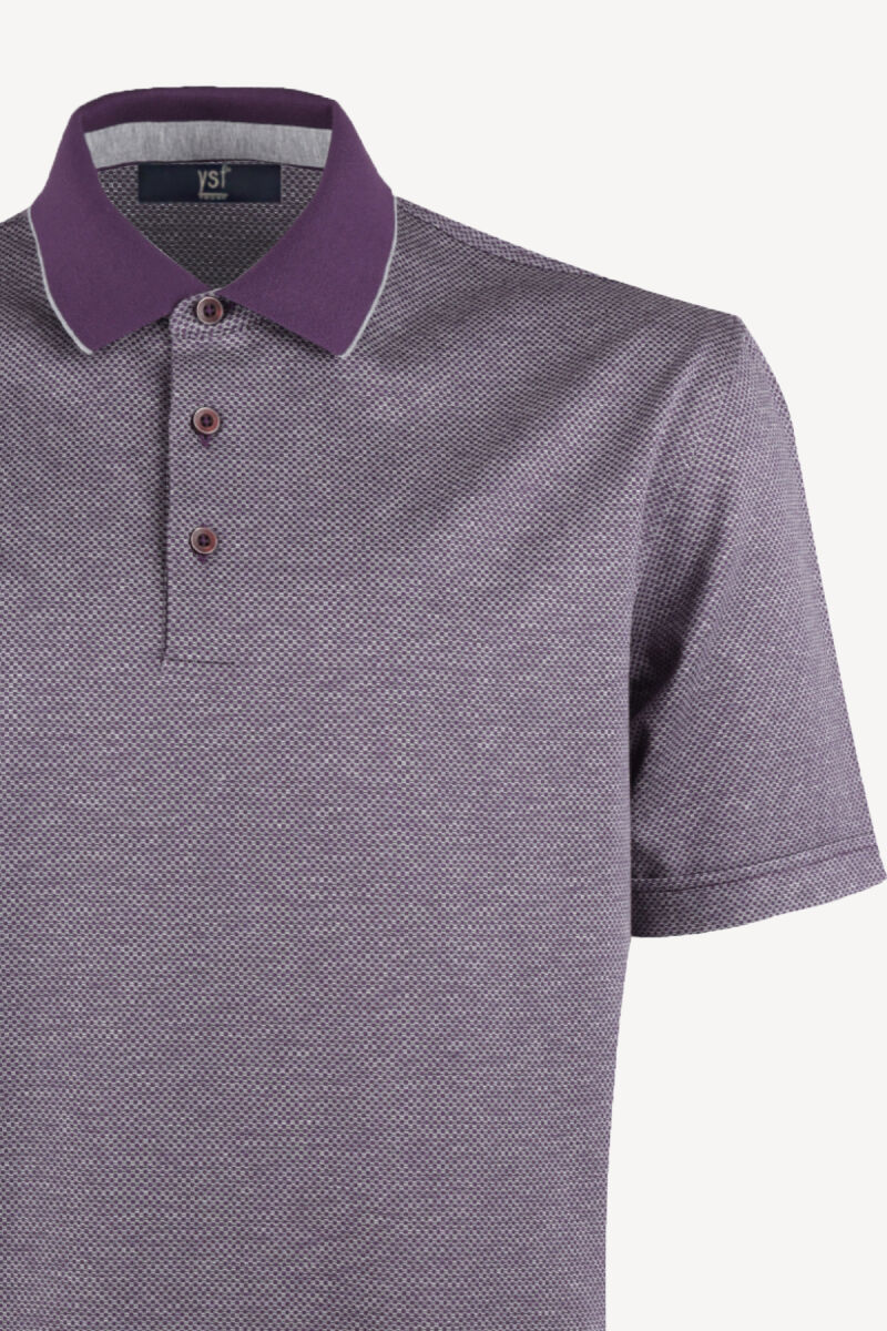 Erkek Gri Regular Fit Polo Yaka Desenli Tshirt - 2