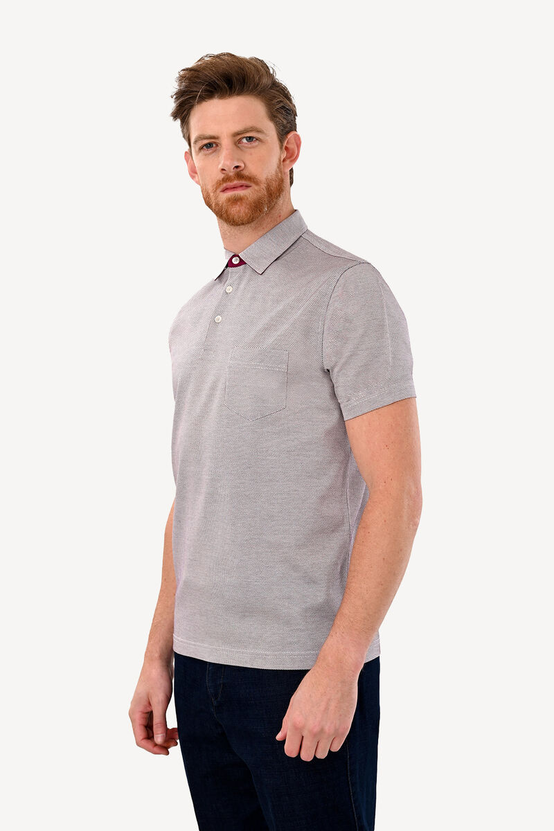 Erkek Vizon Regular Fit Polo Yaka Desenli Tshirt - 2