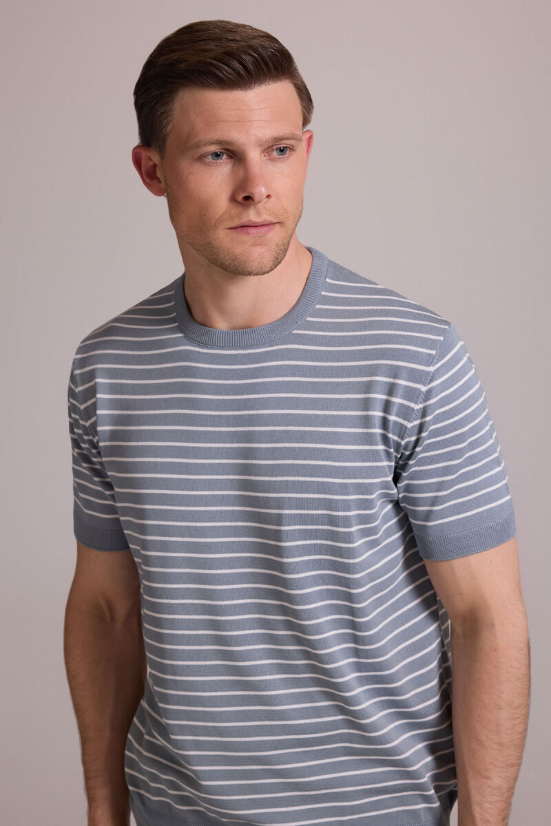 Erkek Mavi Regular Fit Bisiklet Yaka Çizgili Tişört - 5