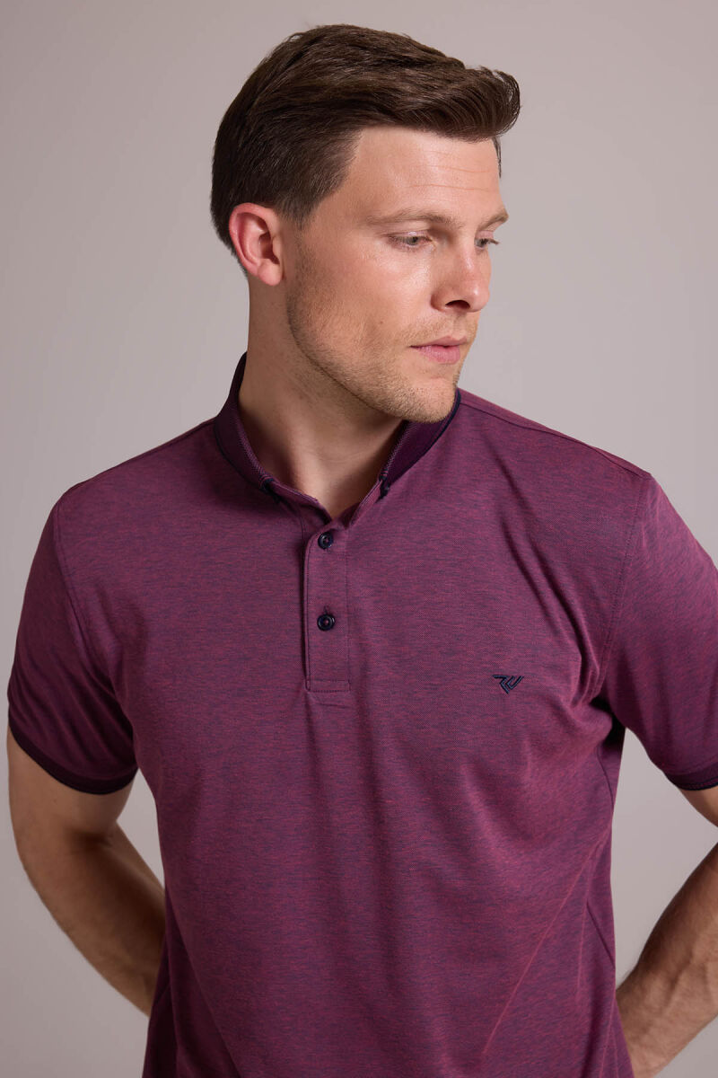 Erkek Mürdüm Regular Fit Merserize Polo Yaka T-shirt - 6