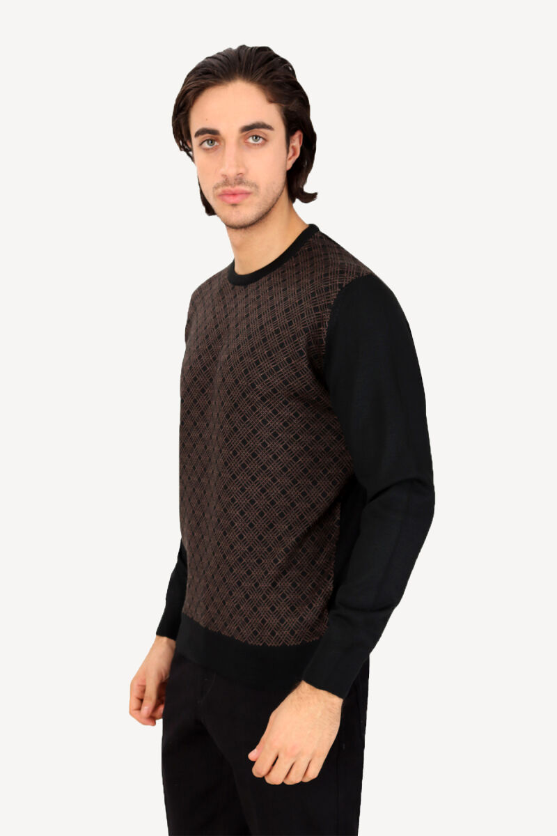 Erkek Siyah Kahve Bisiklet Yaka Desenli Klasik Triko - 2