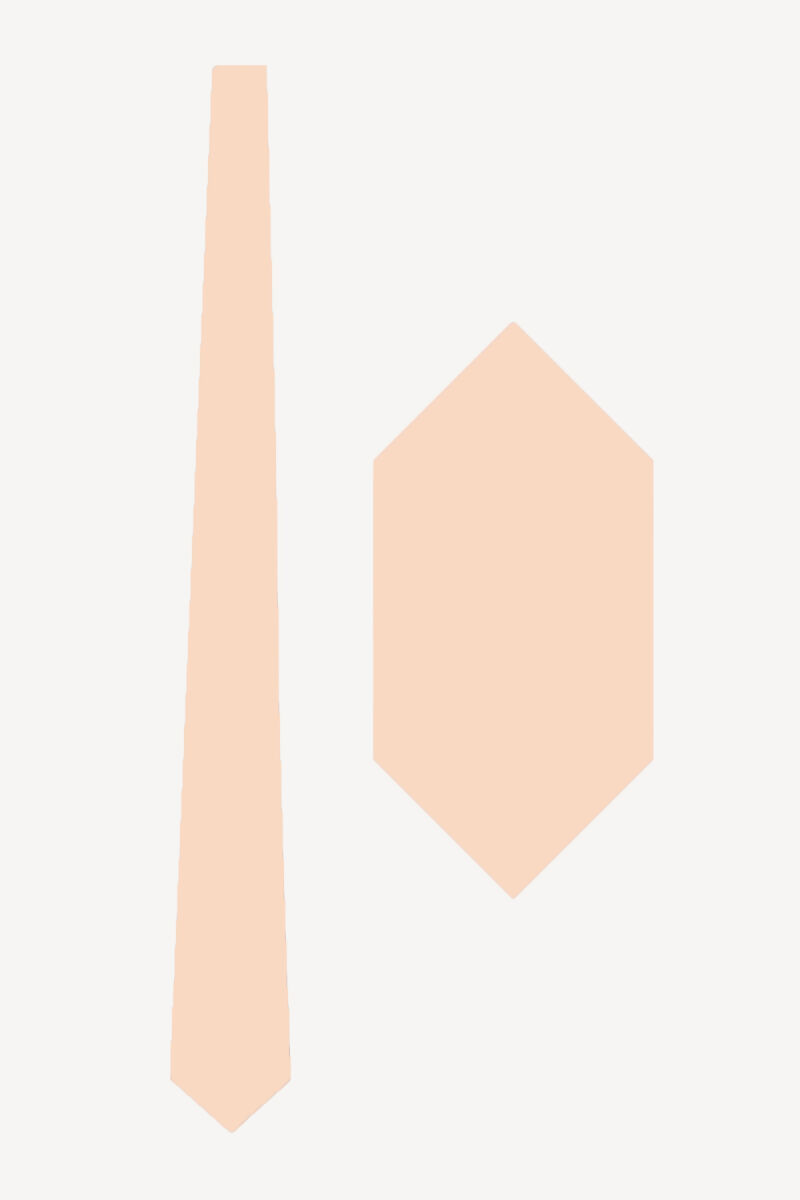 Erkek Somon Düz Slim Kravat Mendil Set - 1